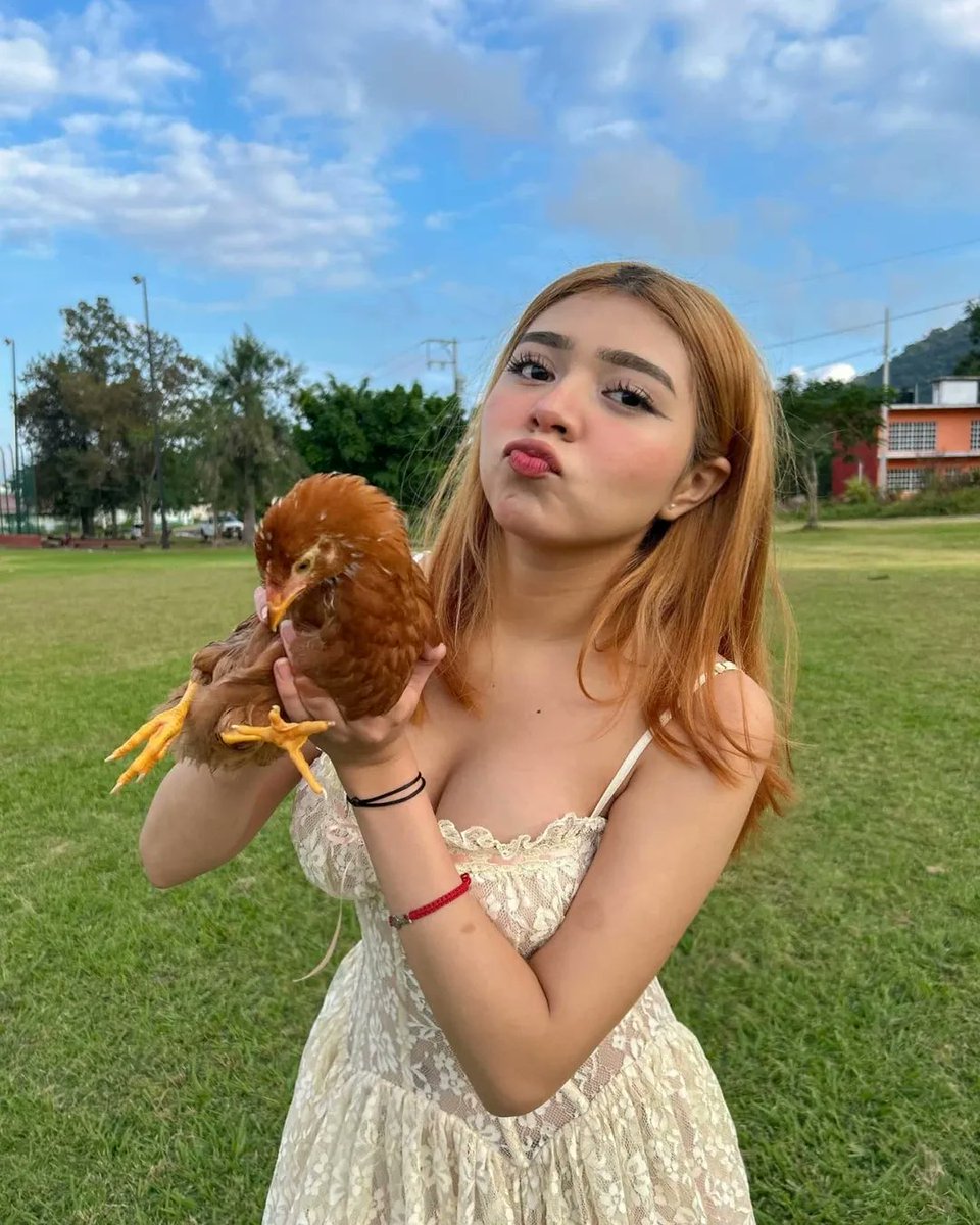 Vestiditoss's tweet photo. La vida en el campo 🐓 😊 https://t.co/CVOuj7cmcX