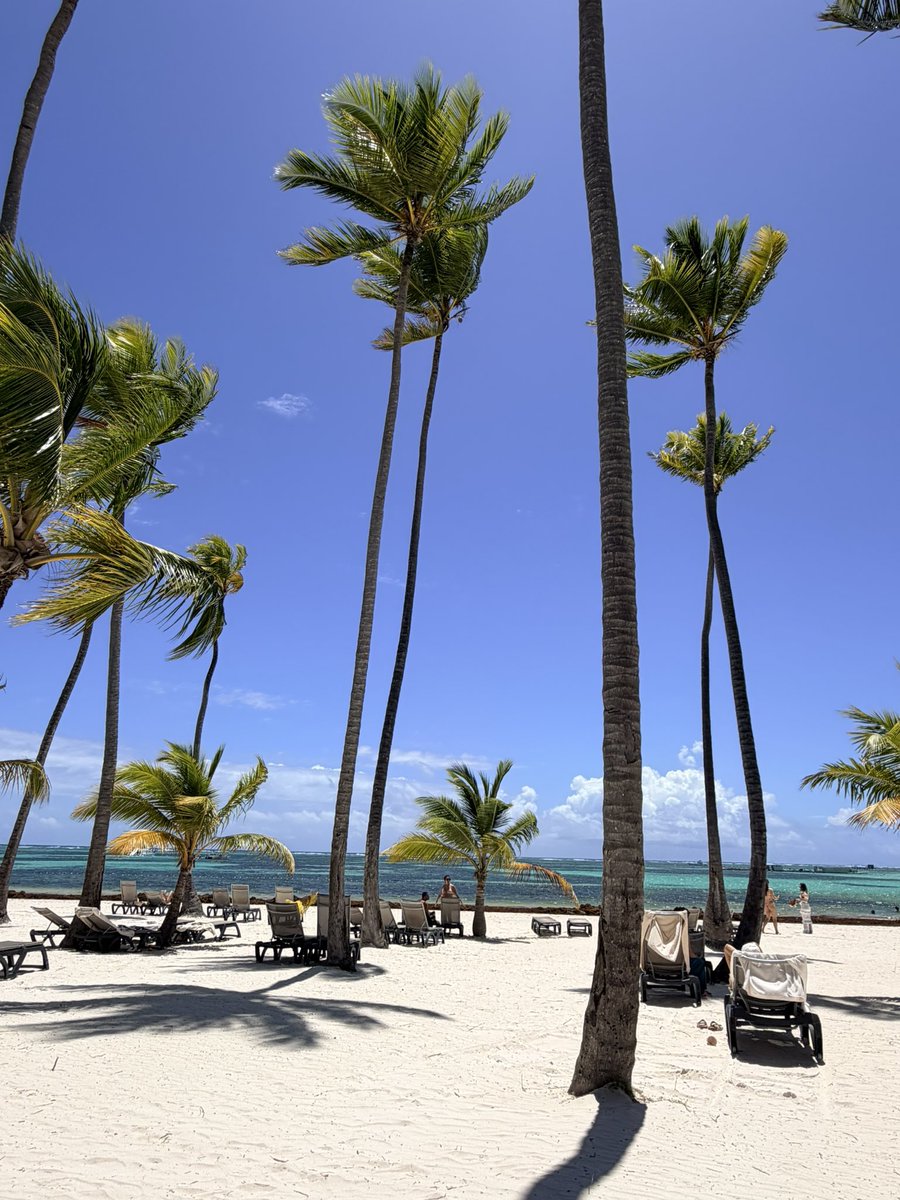 RubenRod24's tweet photo. This way just two days ago! 🇩🇴 #Vacay 

Back to this sucky Dallas weather. https://t.co/Tg3yanKvLe