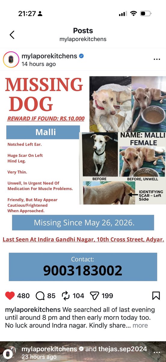 aaratikumar's tweet photo. https://t.co/HTYiIC0i2H

#Chennai Missing dog #FindMalli #Lostdog  pls spread the word . Pls help find her. Someone MUST HAVE SEEN HER https://t.co/b2zI0ujkYD