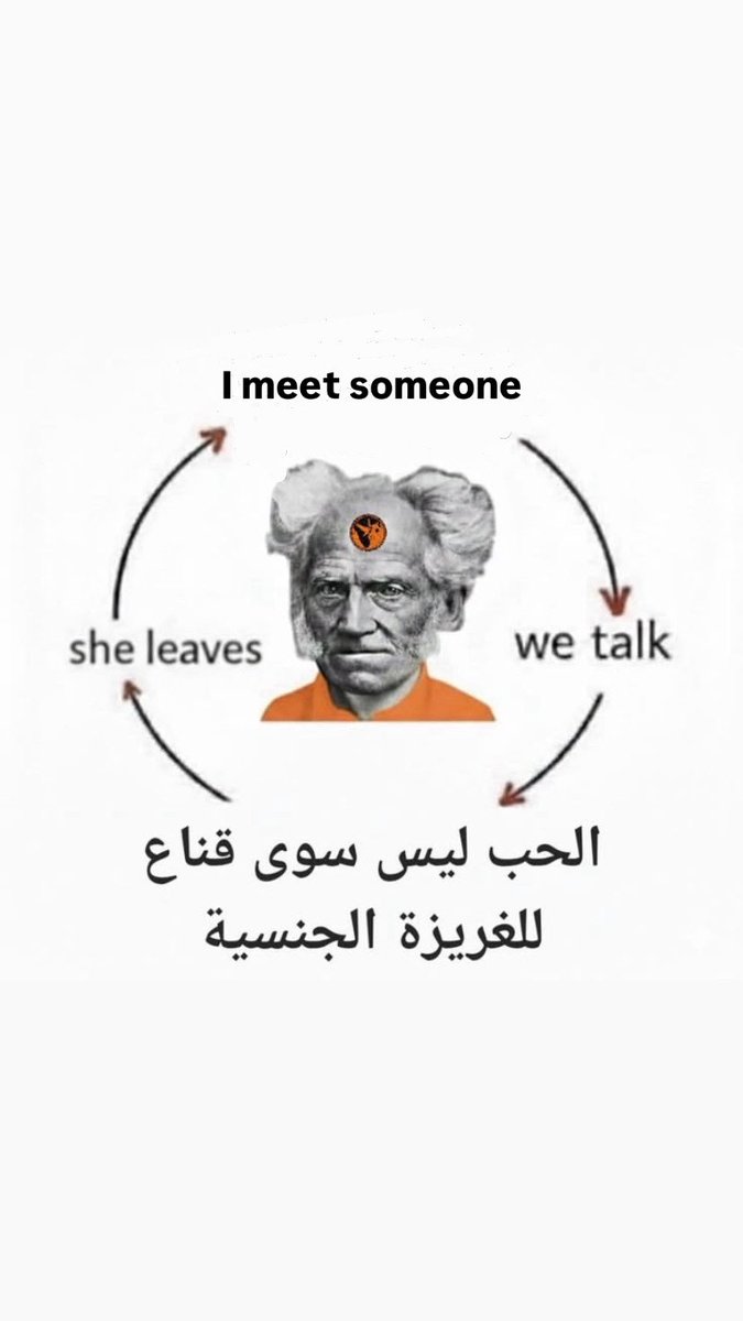 lady lady tweet media