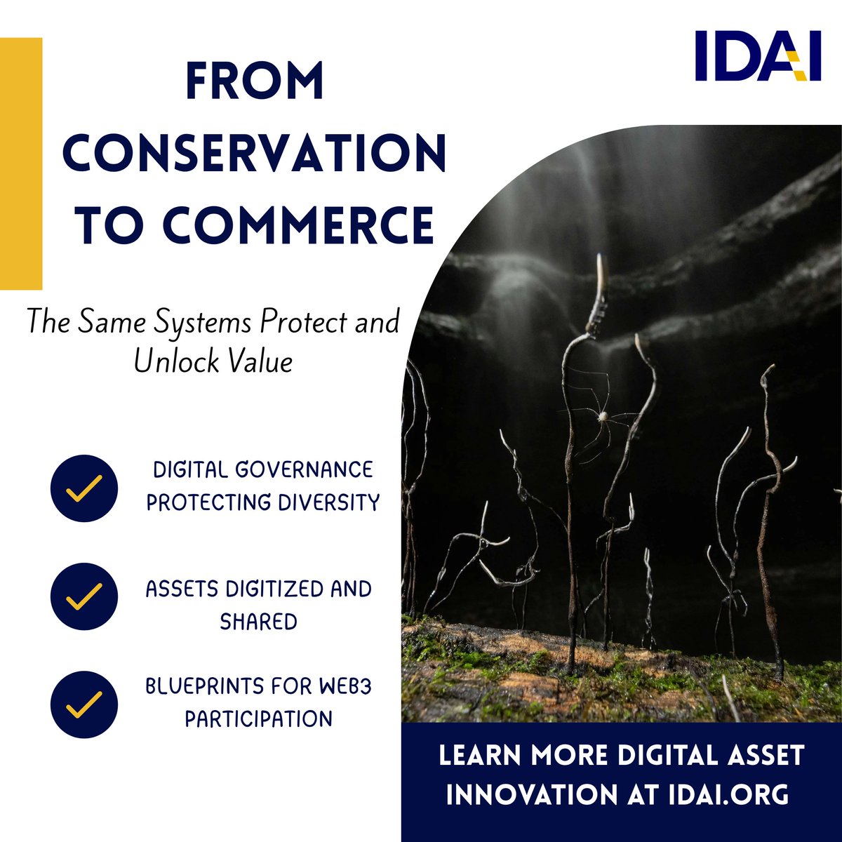 IDAI_Global's tweet photo. From Conservation to Commerce. 

The same digital governance tools protecting global seed diversity also reveal how real‑world assets can be digitized, learned, and shared. 

Models offer a blueprint for small businesses navigating Web3 and asset tokenization with confidence. 

Learn more about digital asset innovation: https://t.co/NixfkGbFIX

#IDAI