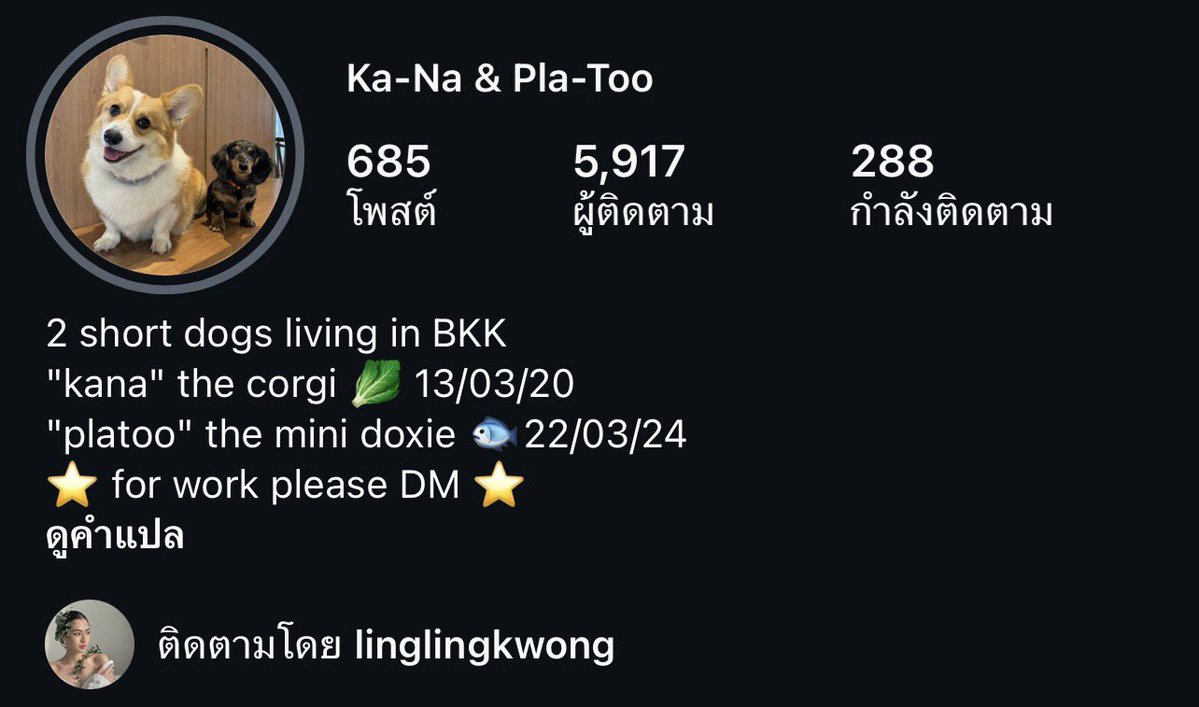 ไข่เจียวว ชน์🍳🐣 tweet media