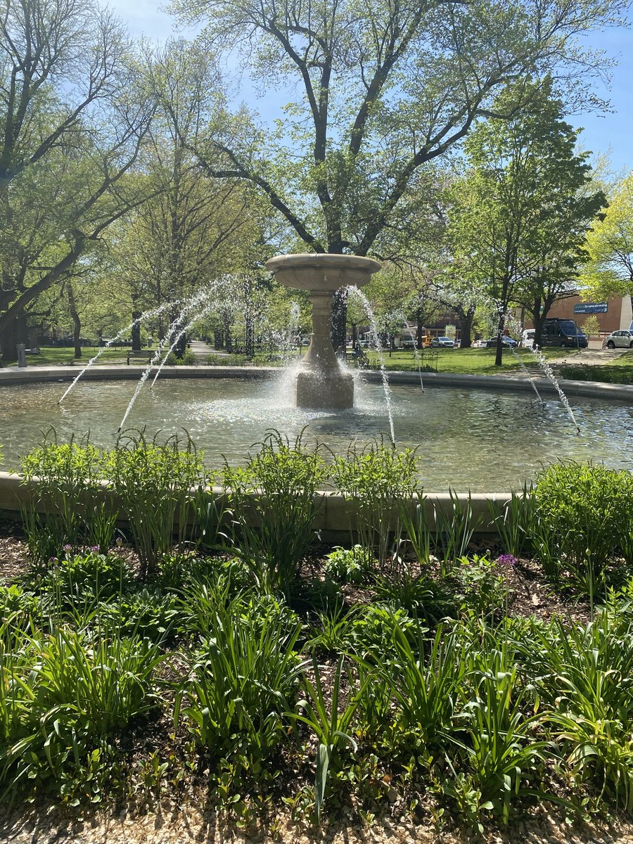 pittsburghparks's tweet photo. Things are in bloom in Allegheny Commons!  🌷Our horticulture and forestry team has been busy planting peonies, baptisia, star bloom stachys, and geraniums around the Patricia Rooney Memorial Fountain. Bring your lunch or a book and enjoy a sunny afternoon on a park bench. https://t.co/FoK4jc6Lu7