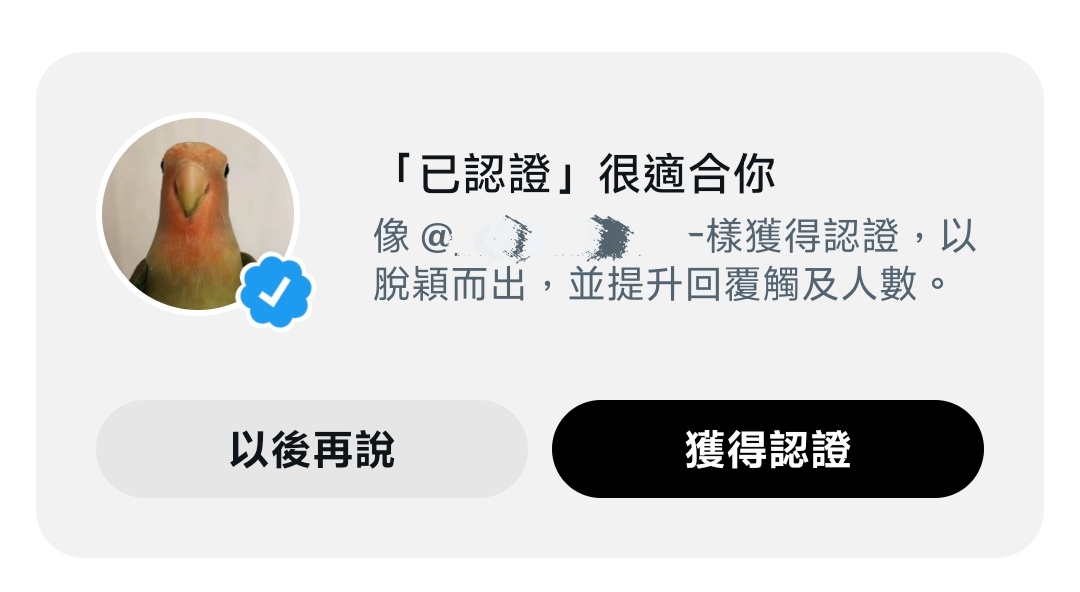 MING tweet media