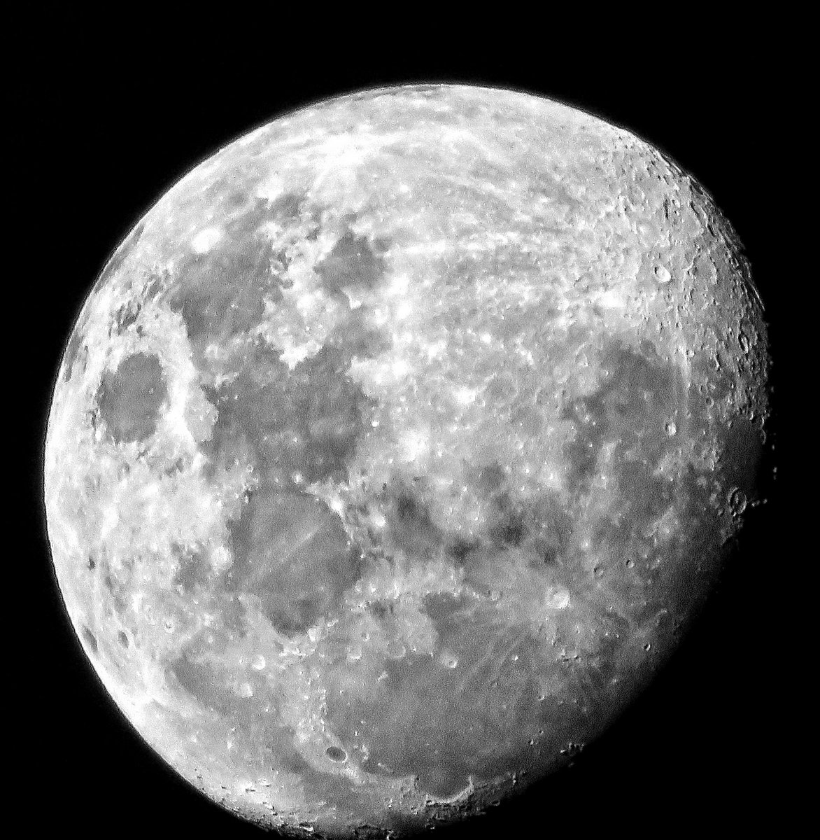 catchamunkey's tweet photo. Just look up https://t.co/fVLgCCrr6c