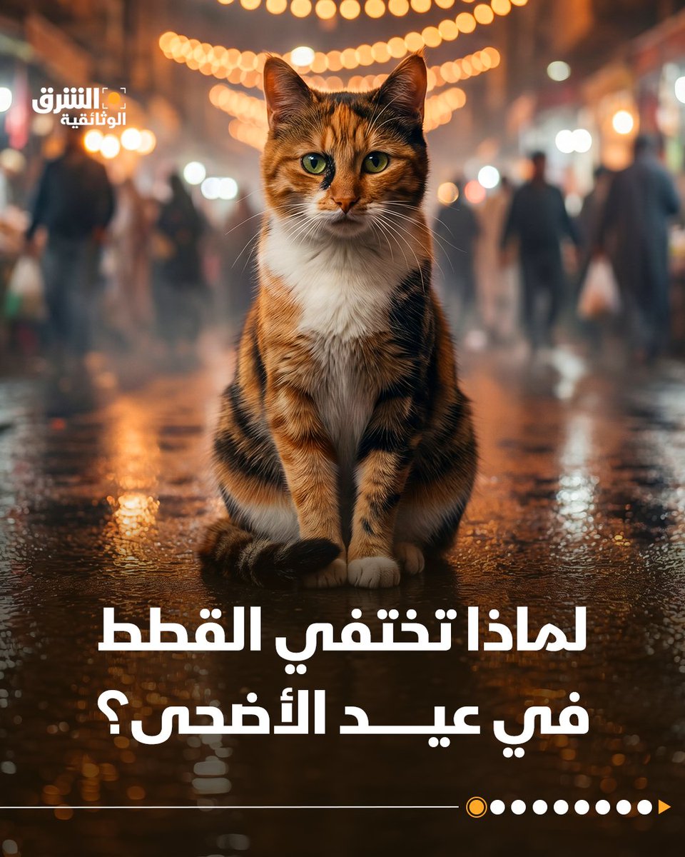 الشرق الوثائقية tweet media