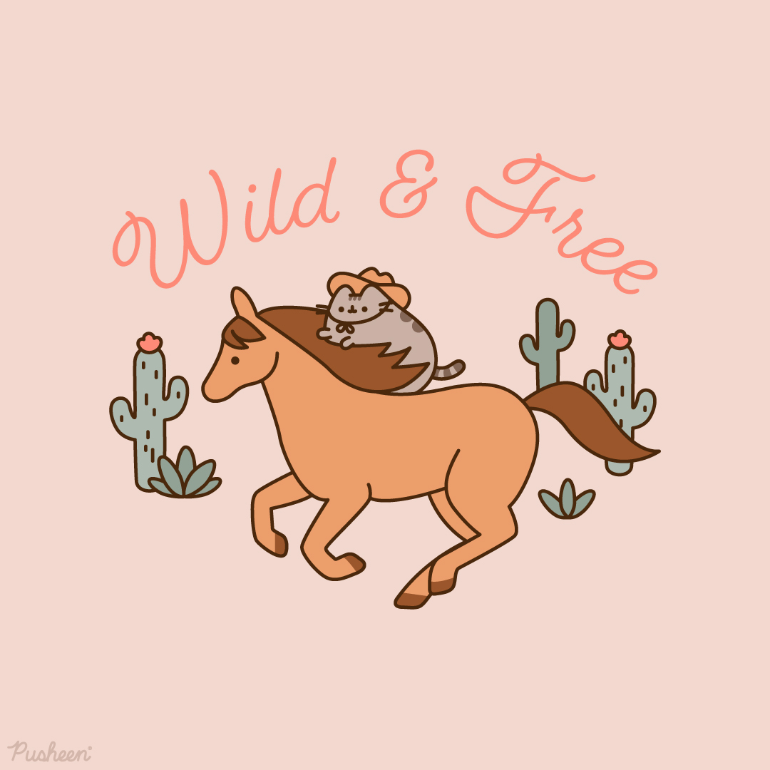 Pusheen the cat tweet media