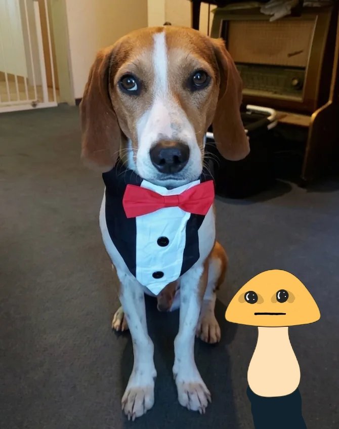 chill_poster's tweet photo. Chilling with a butler https://t.co/tTf9hB3Krc