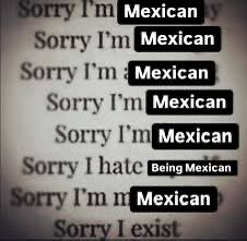 Pocho tweet media