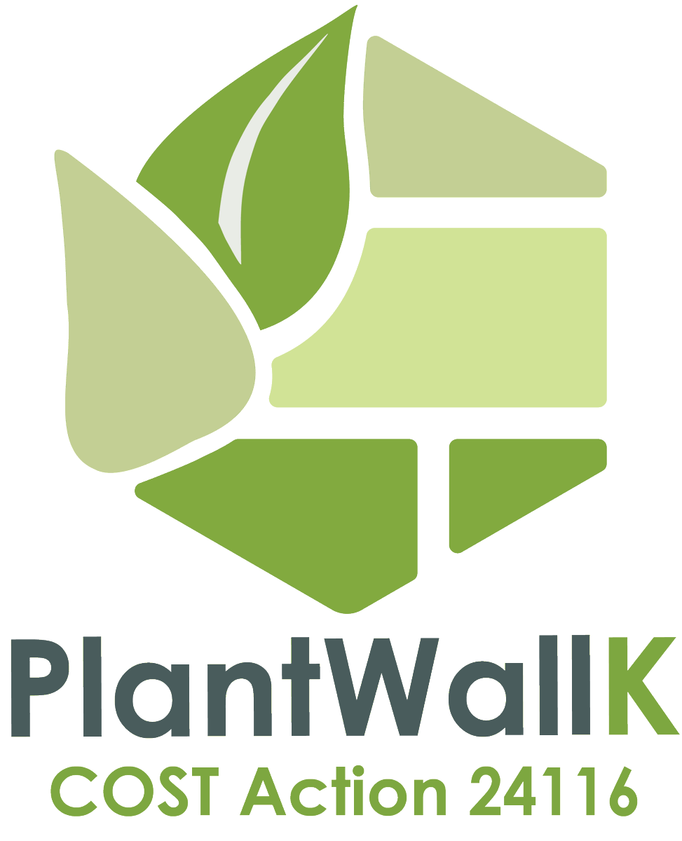 MASLab_IHSM's tweet photo. Our PhD student Diego Rodríguez took part this week in the First #PlantWallK Meeting of #COSTAction CA24116 in Prague 🇨🇿.

During the meeting, he shared our research on plant cell wall cellulose characterization and connected with researchers from across Europe.🌿 https://t.co/pYopVU0urD
