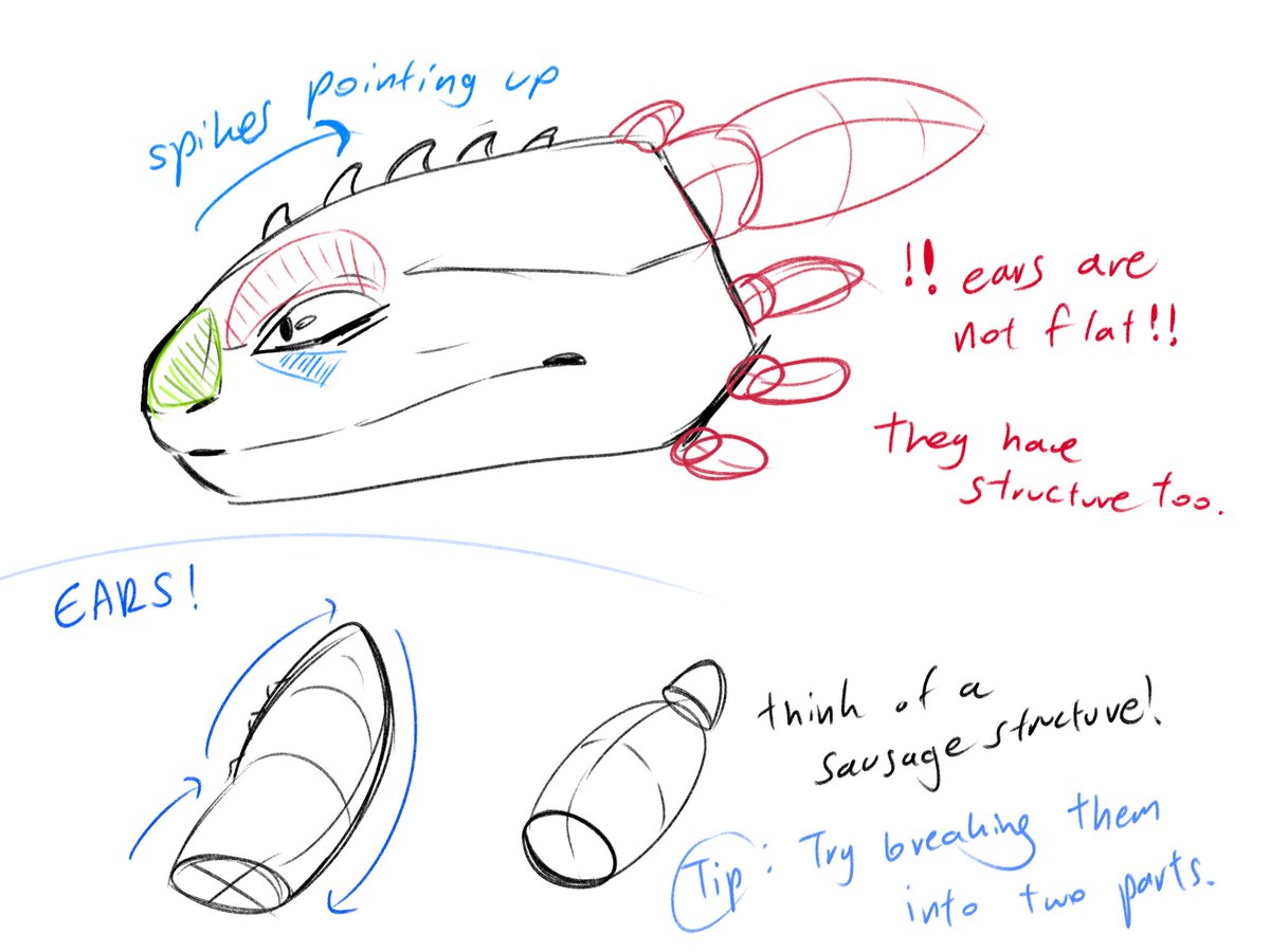 dragonroos's tweet photo. The Nightfury! Anatomy tips
#httyd #nightfury #arttips https://t.co/gnKUVGgPfX