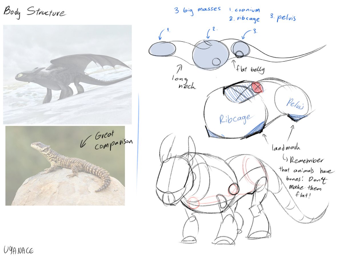 dragonroos's tweet photo. The Nightfury! Anatomy tips
#httyd #nightfury #arttips https://t.co/gnKUVGgPfX