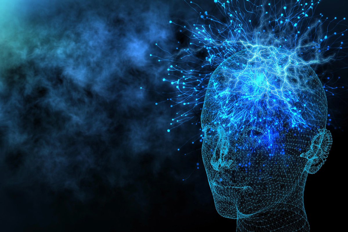 NightSkyToday's tweet photo. 🚨: Your brain isn’t a computer — it’s a quantum field! https://t.co/4F01V0ZIah