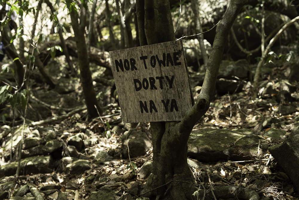 VisitSL's tweet photo. 🥾 Some experiences cannot be explained; they have to be lived. 
Our last Mount Sugarloaf hike captured the beauty of adventure and the power of stepping into nature. Click the link and relive the experience with us ➡️... https://t.co/8OKLvITBG1 
For inquiries:
✉️: info@vsltravel.com
🌐: https://t.co/mHYZ4IXNzu

📹📷: TheInnovativeIntermediary. Thank you! 

#VSLTravel #VisitSierraLeone #MountSugarloaf #AdventureSeekers #ExploreNature #MountainViews  #TravelCommunity #NatureJourney #ExploreTheWorld #AuthenticTravel
