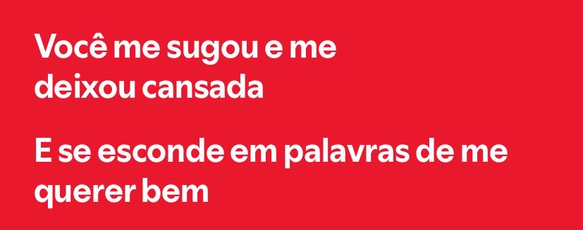 🦐 tweet media