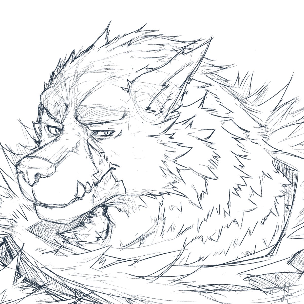 dergzzelkapon's tweet photo. Late night Blaidd sketchhhhh 📷
Turns out i can also draw wolves like him xD https://t.co/OiH4fmyyDE