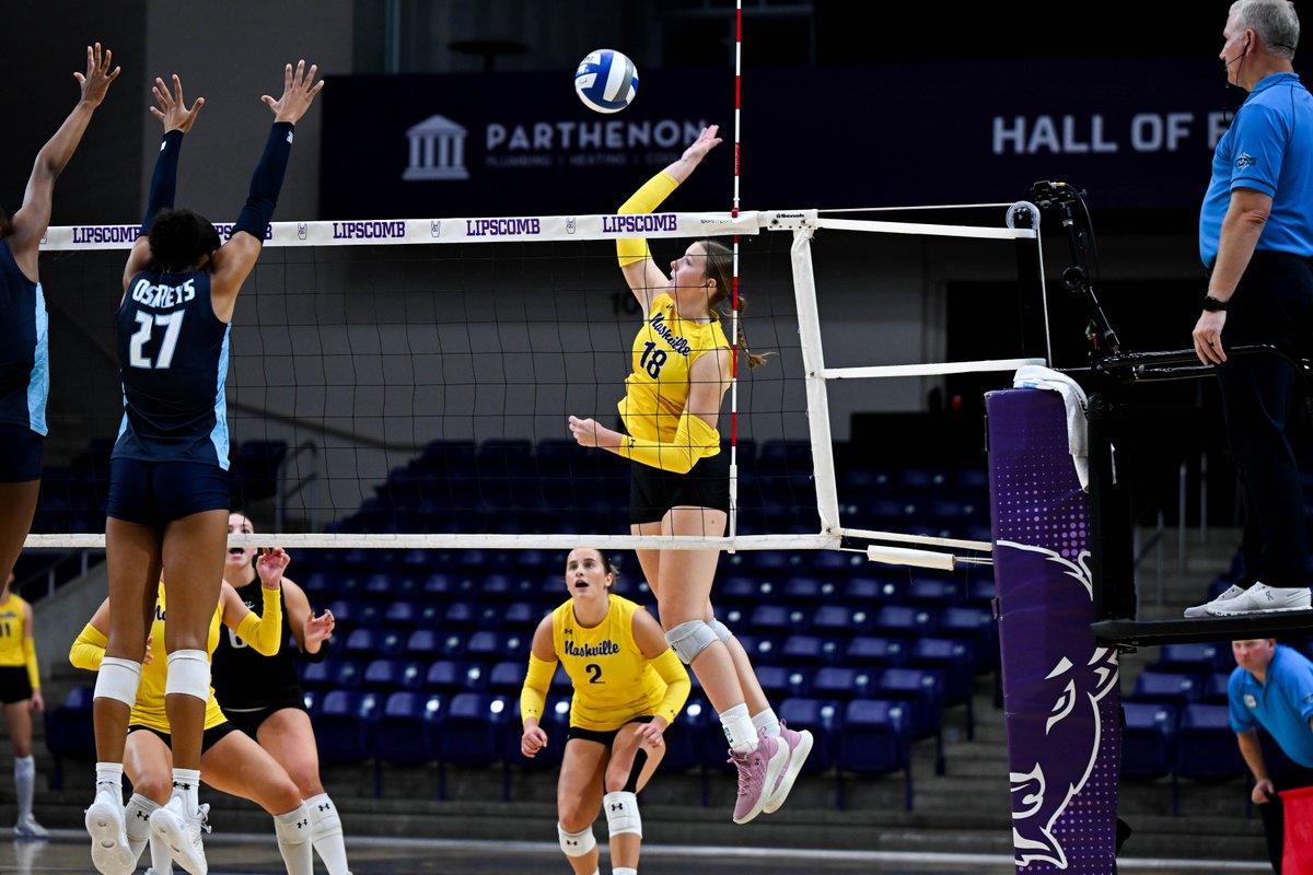 LipscombVBall's tweet photo. Wishing Ella a HAPPY BIRTHDAY! 🎊

#IntoTheStorm ⛈️ | #HornsUp 🤘 https://t.co/sT9iDtpNhj
