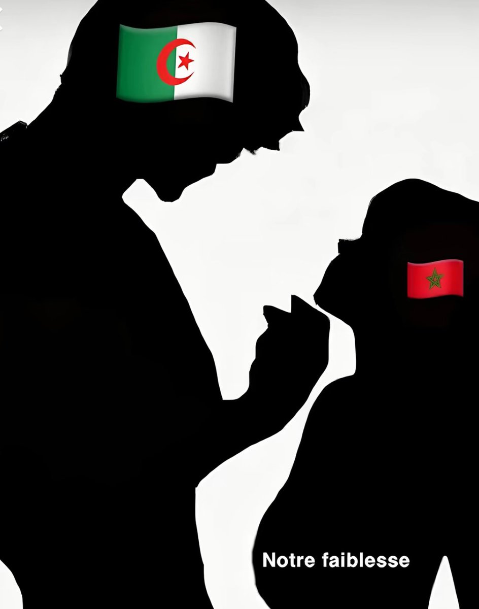 🇲🇦 tweet media