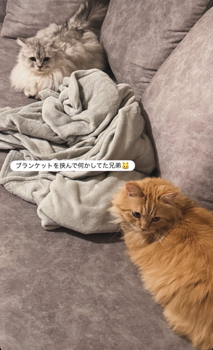 みいちゃん (@miichaaan46) / Posts / X