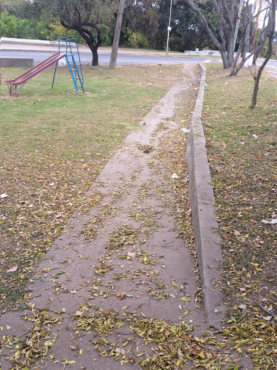 LOREVA71's tweet photo. Seguimos con los reclamos @MuniParana @rosarioromeroOK @santiagojhalle @luchiminni Barrio km3. Estado de abandono. https://t.co/8EPGnu1p56
