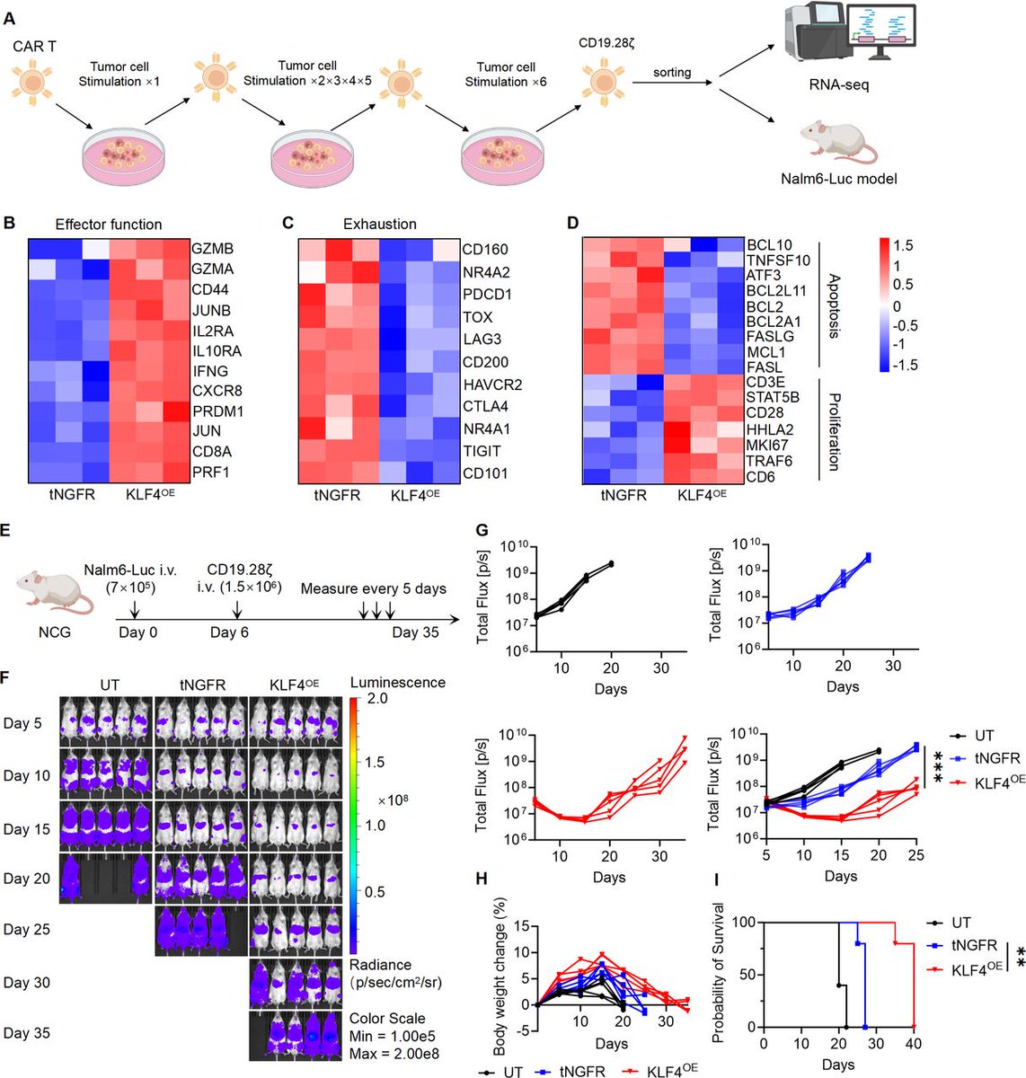 Journal for ImmunoTherapy of Cancer tweet media
