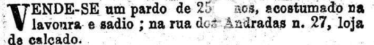 guilherme tweet media