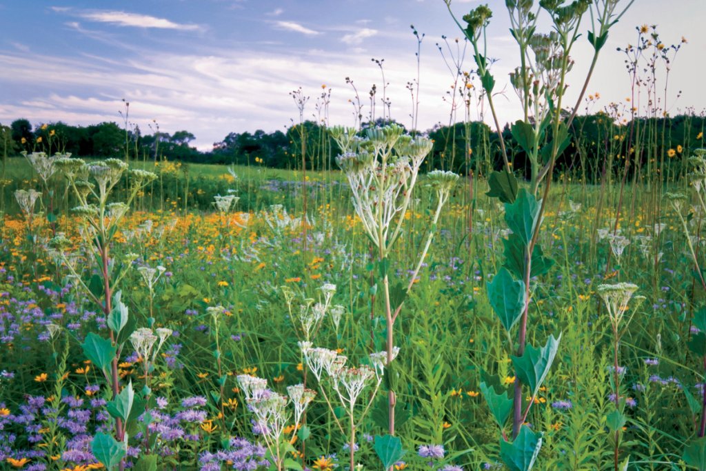 DelawareToday's tweet photo. Whether you’re a seasoned green thumb or starting your first windowsill herb garden, these 25 tips from area experts will help you cultivate a thriving outdoor space.
https://t.co/rxBcbqbLEu https://t.co/Z7Ajkd5jBG