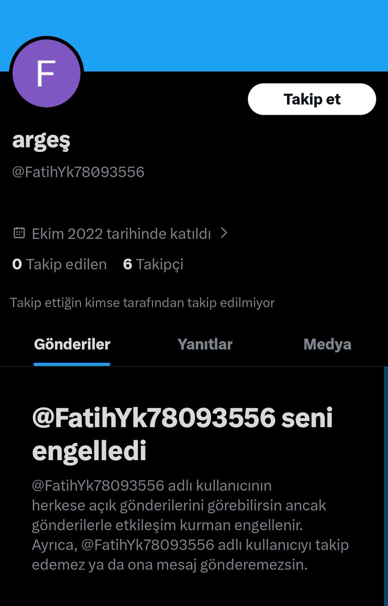 aydemir tweet media