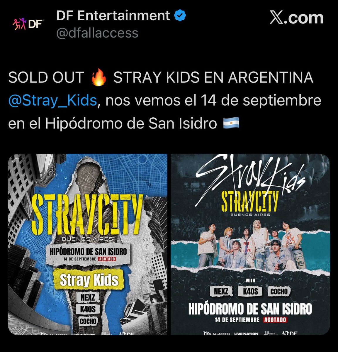 lordis ~ VOY A VER A STRAY KIDS x2 tweet media