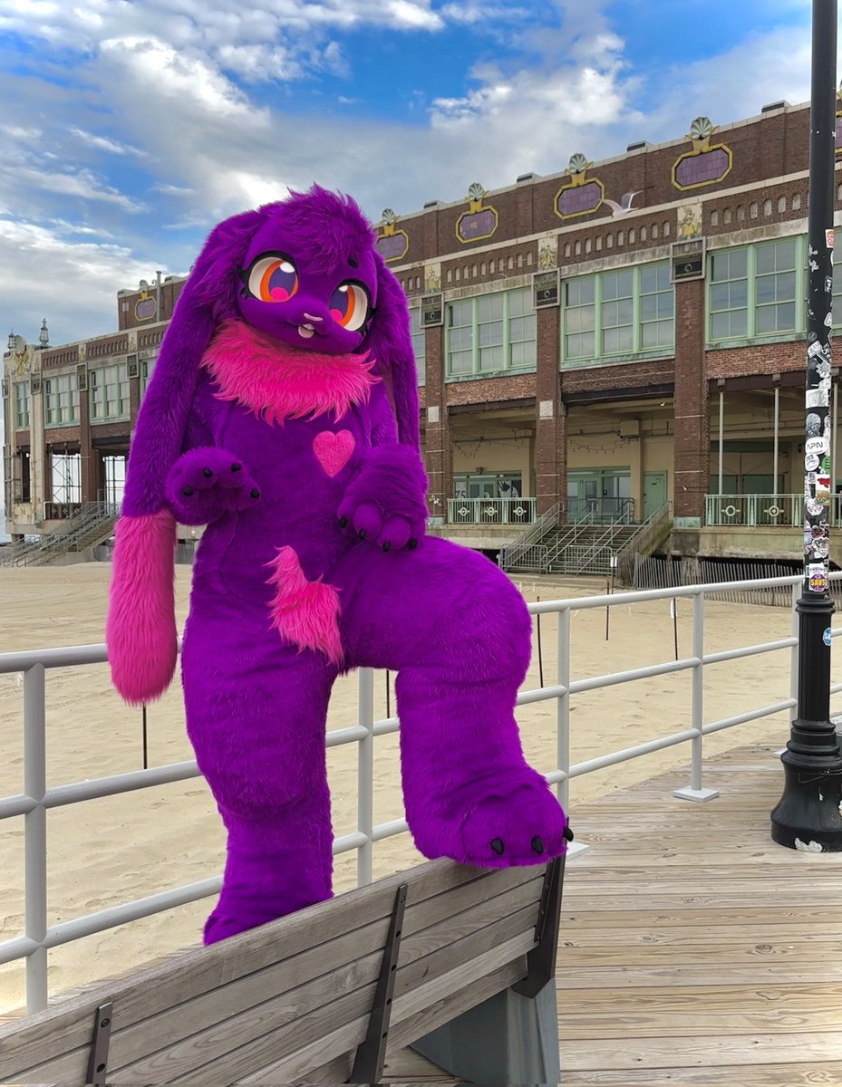 Adumb955's tweet photo. Finished my first fullsuit! #fursuit #fursuitmaker #furry #furryfandom https://t.co/GzwVKOwPkR