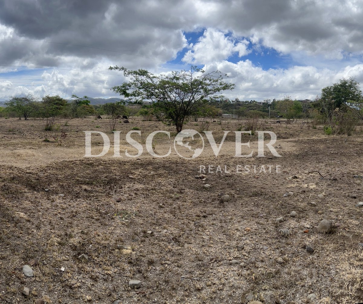 DiscoverRealtor's tweet photo. 📍 Terreno en venta | Estelí
📐  35,000 v²
💰 Venta: $997,500
🔑 ID: 15000

Ideal para proyectos de desarrollo estratégico.

Más información:
🌐 https://t.co/dVxkDMGbV6
Licencia de Corredor de Bienes Raíces INVUR-UCBR-PJ-N-0067-2024

#DiscoverRealEstate https://t.co/HfX1dkTXRk