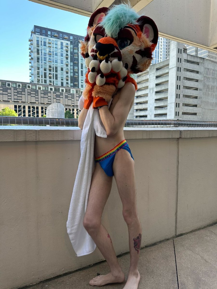 tigermaws's tweet photo. Uuuuuuhhhhh meow is the only word in my vocabulary https://t.co/lshX2uWcKC