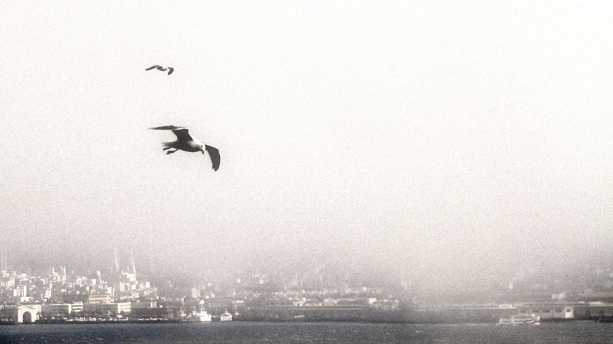 egsphotographer's tweet photo. "Freedom Above Alcatraz"
#Photography #BlackAndWhitePhotography #SanFrancisco #USA #California #alcatraz #fineartphotography #explorecalifornia #sanfranciscobay #urbanphotography https://t.co/VkygLa2wPW