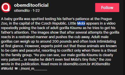Bandit tweet media