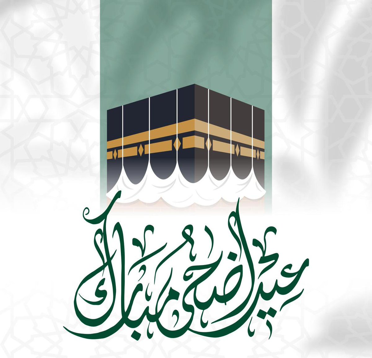 PRINCE TAHIR NAWAZ (Mr_Malik) tweet media
