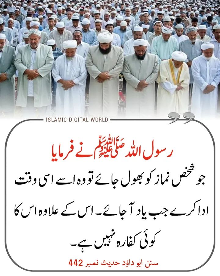 Mahwish Zafar tweet media
