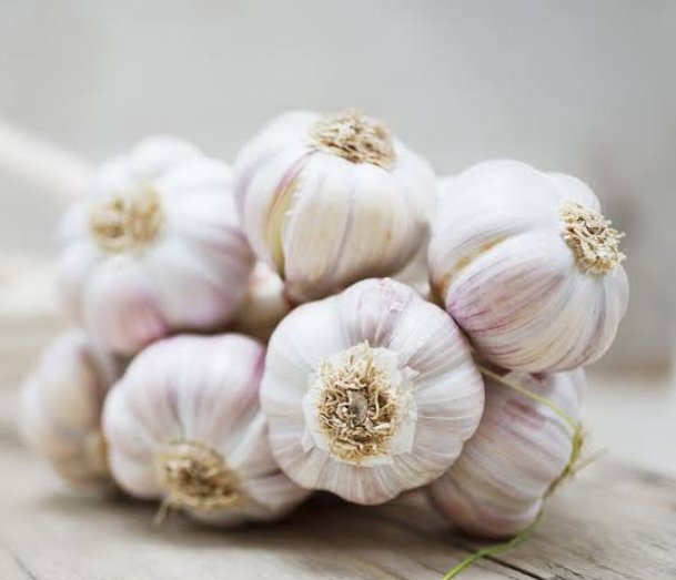 healthhubHQ_'s tweet photo. Dear men,

Super combination:
Bitter kola + Garlic + Ginger + Honey(optional)

PREPARATION
Grate 5 bitter kolas, 5 slices of garlic, a piece of ginger. Put everything in a container to be filled with 1 liter of water to keep cool. https://t.co/iptlFUwyNX