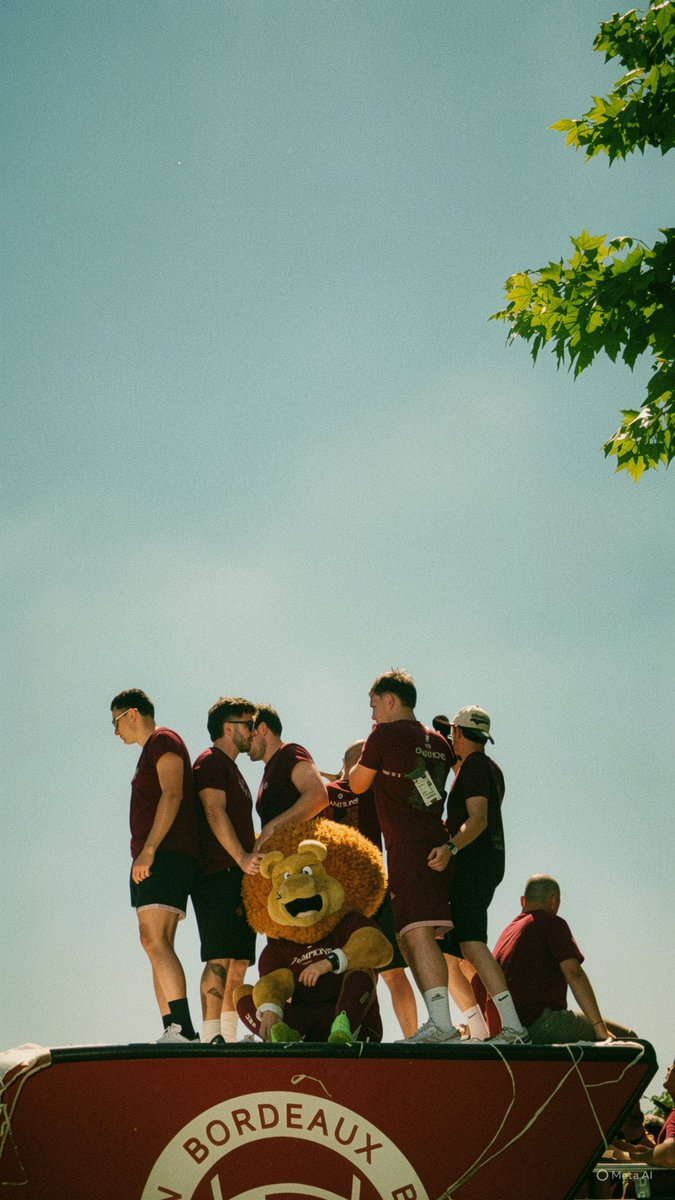 fallongry's tweet photo. 🍇⭐️⭐️ @MattJalibert #ubb https://t.co/tz3GByOLHH