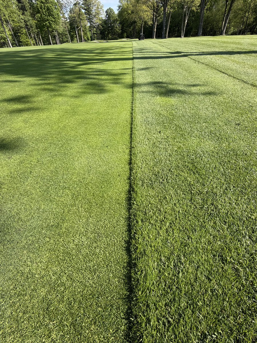 LHCC Grounds tweet media