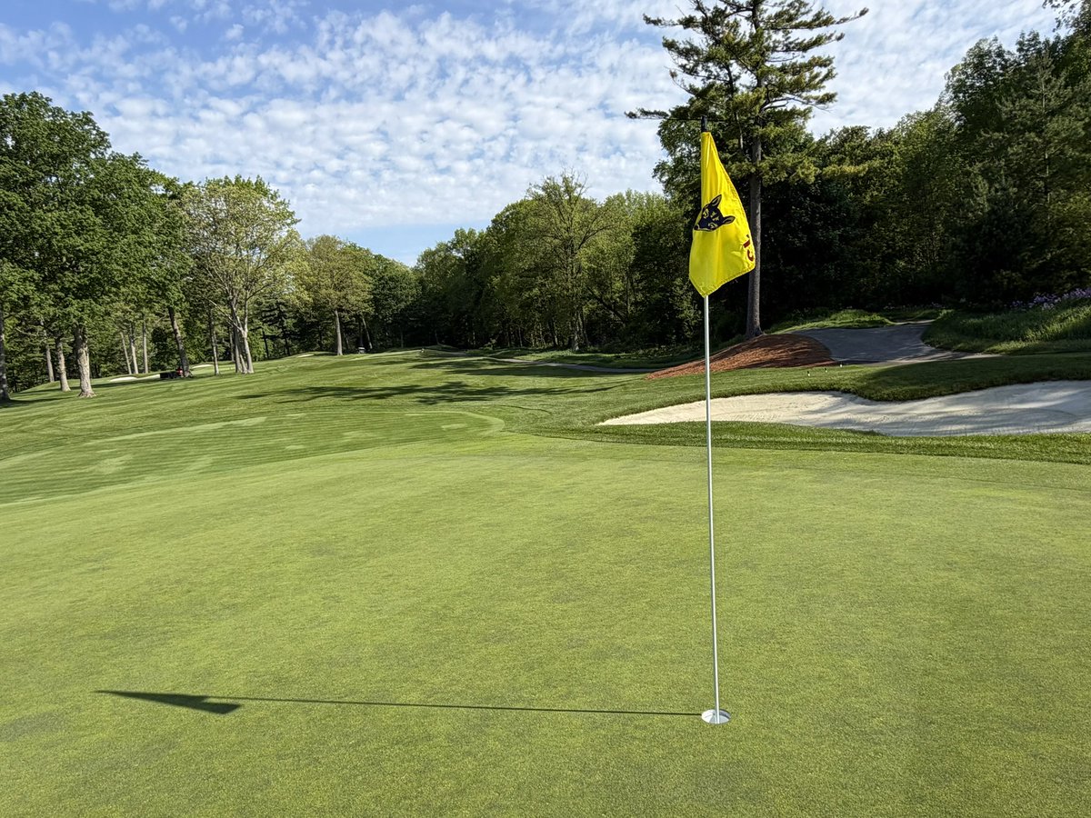 LHCC Grounds tweet media