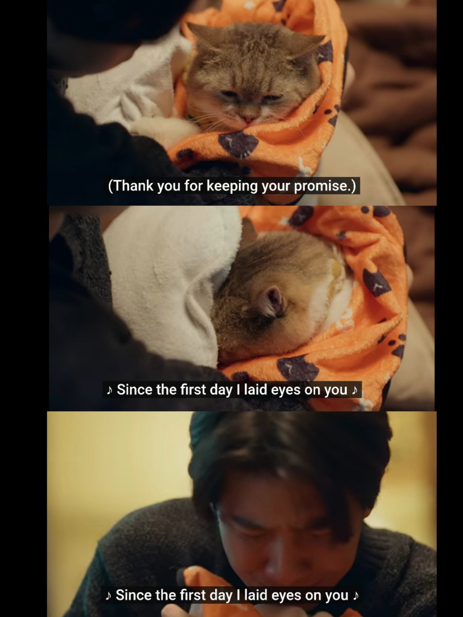 sheylalthq_'s tweet photo. al fin me digné a ver el último episodio de cat for cash y terminé pegándome una lloradita😔
#CatForCashFinalEP https://t.co/gzTlzL3Tcy