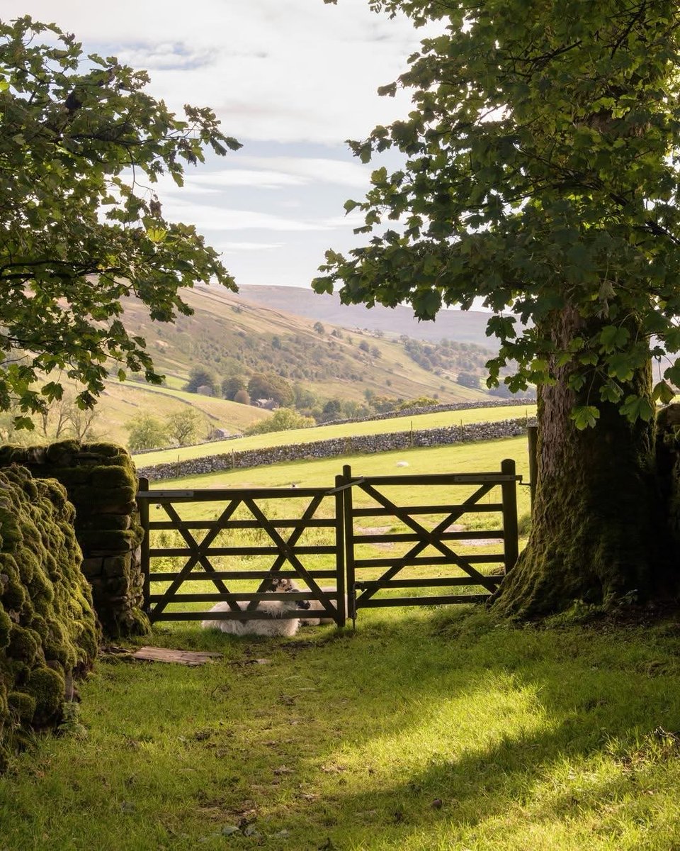North Yorkshire tweet media