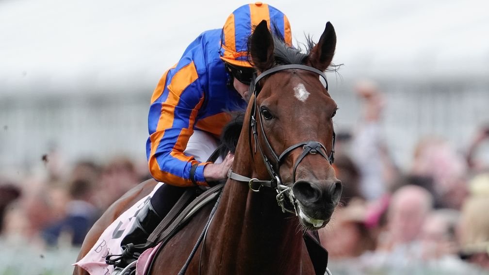 Aidan O'Brien said: 🗣️ 