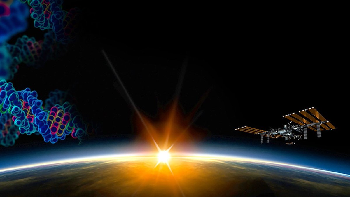 astrobiology's tweet photo. NASA Spaceline Current Awareness List #1,201 22 May 2026 (Space Life Science Research Results)
https://t.co/eUTCwvAqqd #astrobiology #spacebiology #spacemedicine #microgravity #ISS https://t.co/bQd15wN4Nk