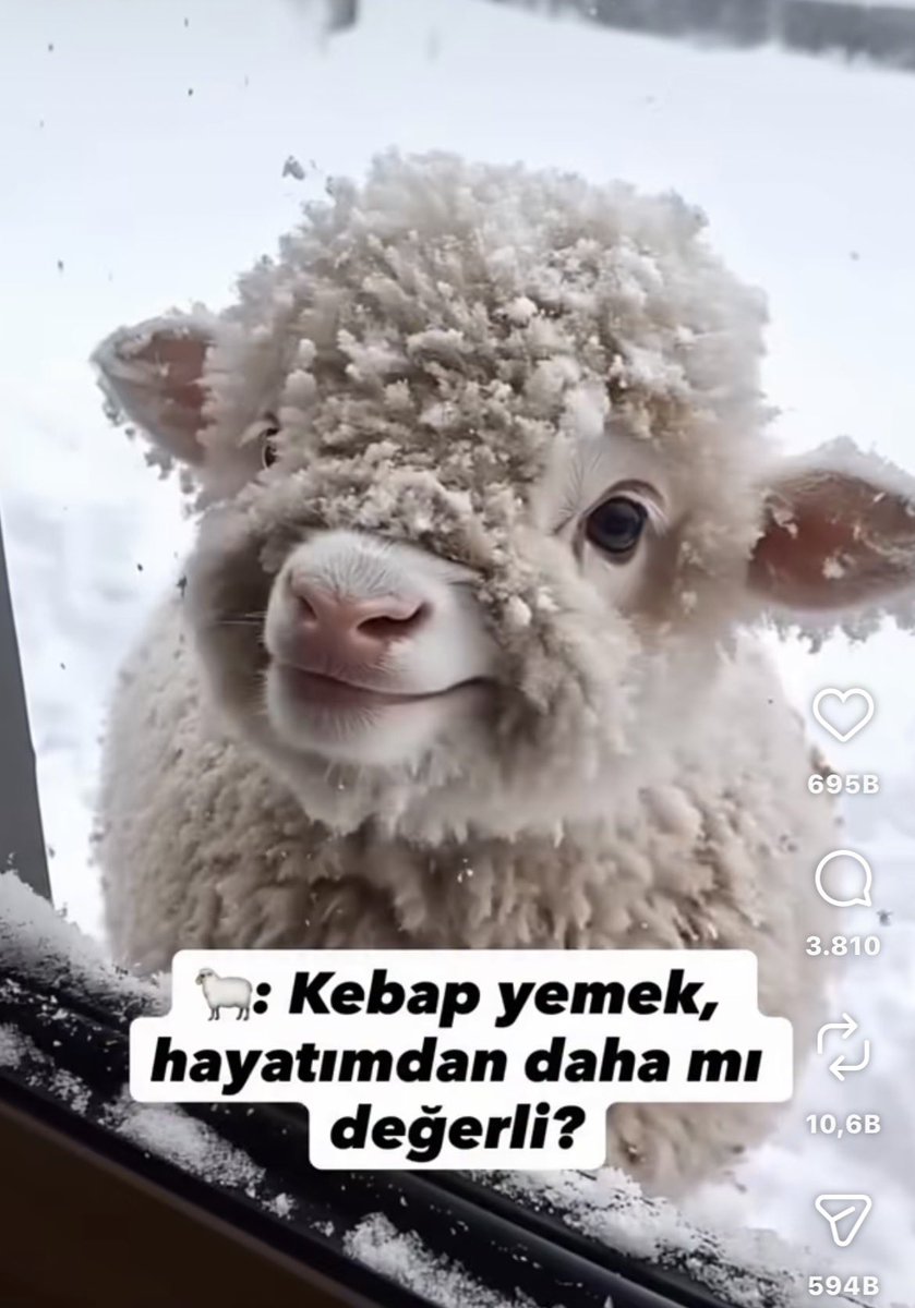 waezula tweet media
