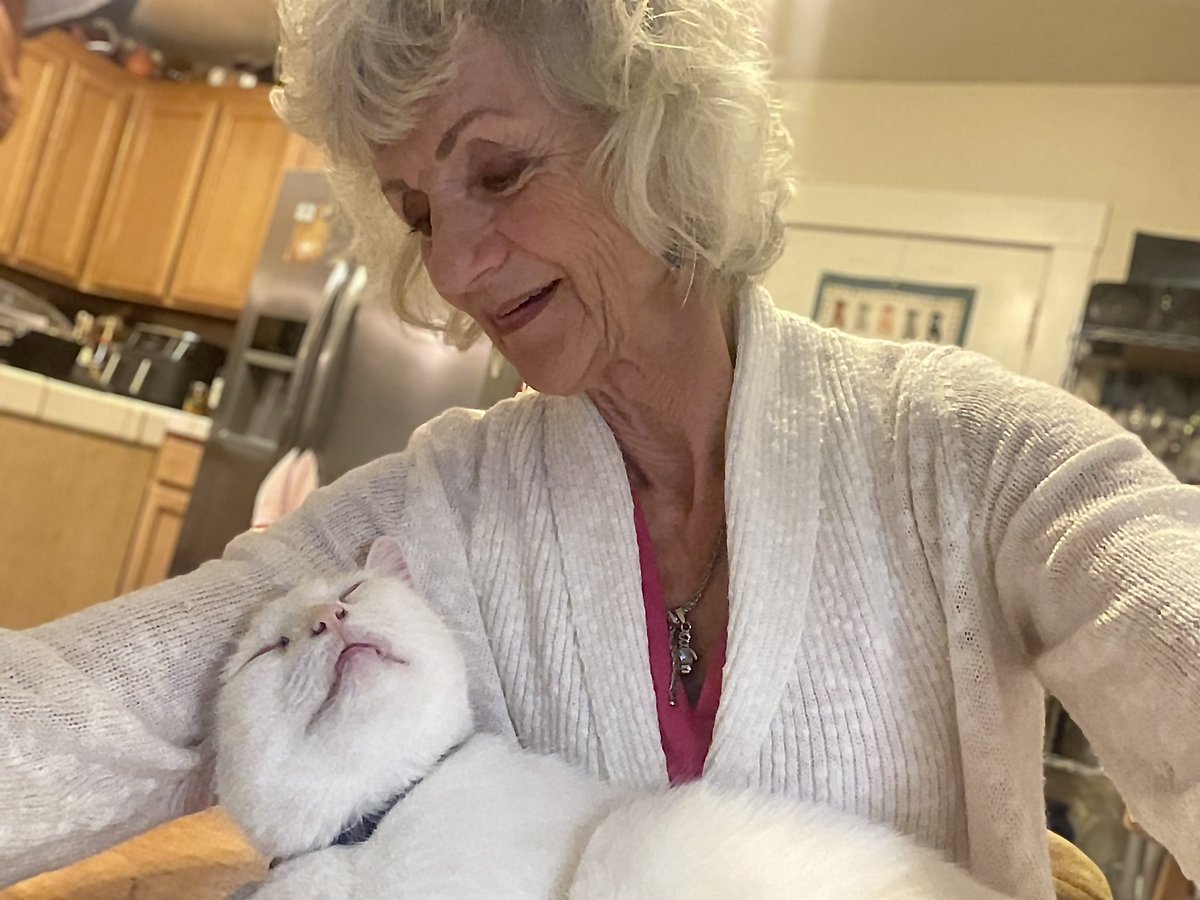 FeldyJan's tweet photo. @AJamesMcCarthy Find someone who looks at you the way I look at my Cat https://t.co/GTunKCAmZZ