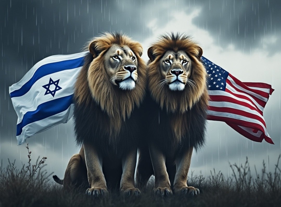 SandraLHamilton's tweet photo. @SenFettermanPA @IDF https://t.co/XFNpEAK25y