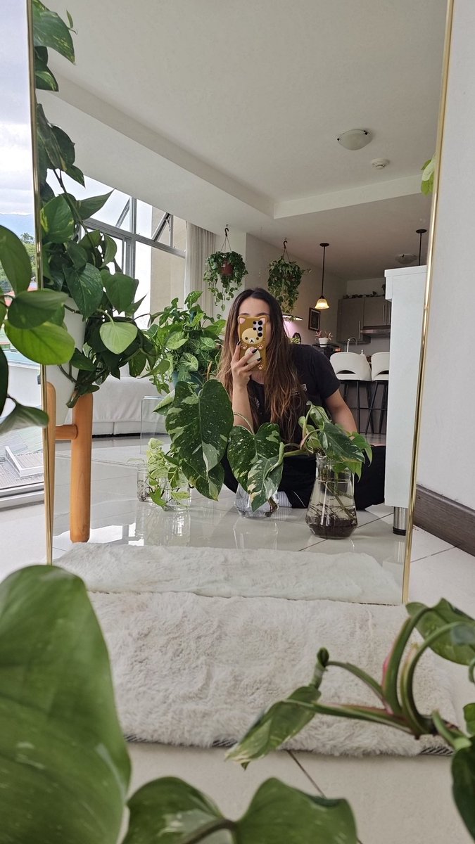 🌸 My Cheetara 🌸 tweet media