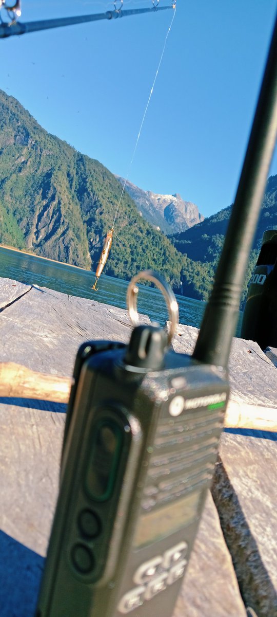 TURISBET's tweet photo. Una buena pesca hoy... https://t.co/3F8559ryPJ