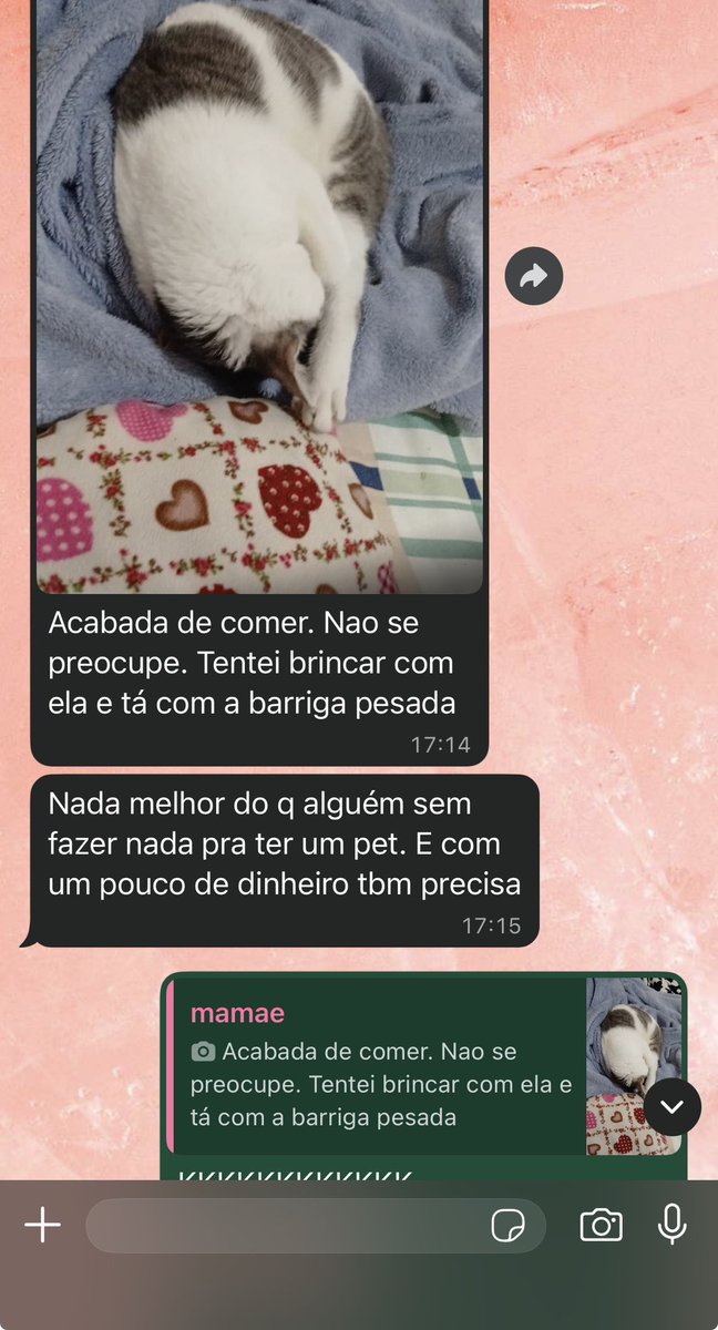lure tweet media